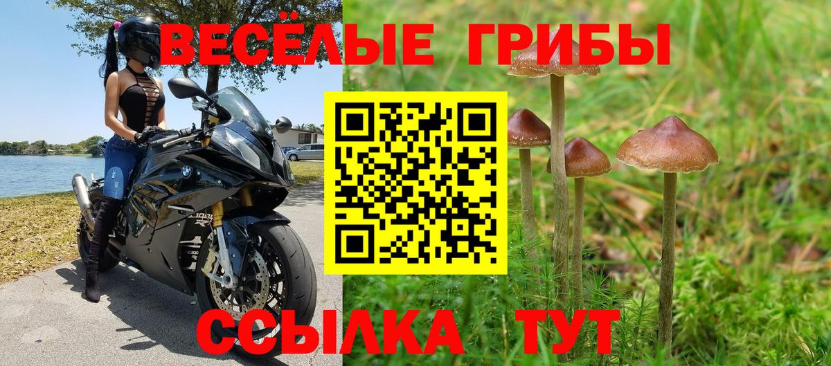 Галлюциногенные грибы MAGIC MUSHROOMS Мурманск
