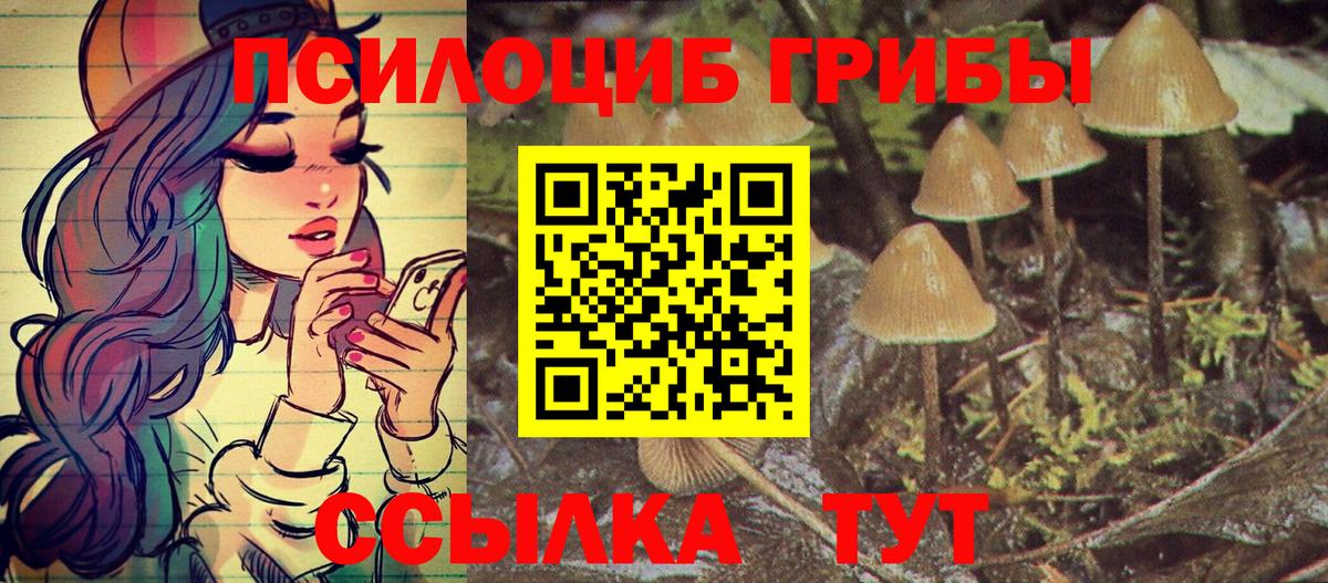 Мурманск  Галлюциногенные грибы ЛСД  Вход с VPN 